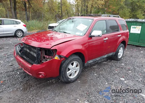 2009 Ford Escape Xlt z USA, uszkodzony, nr VIN 1FMCU93G69KC79790